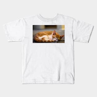 Ginger Kitty. Asleep Kids T-Shirt